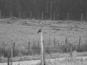 Imagine Brian Glover on a football pitch, stage left.