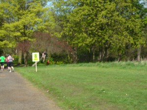 If you look closely, you can see a blurry figure lounging in the tree like an over-grown squirred. This is Ginge.